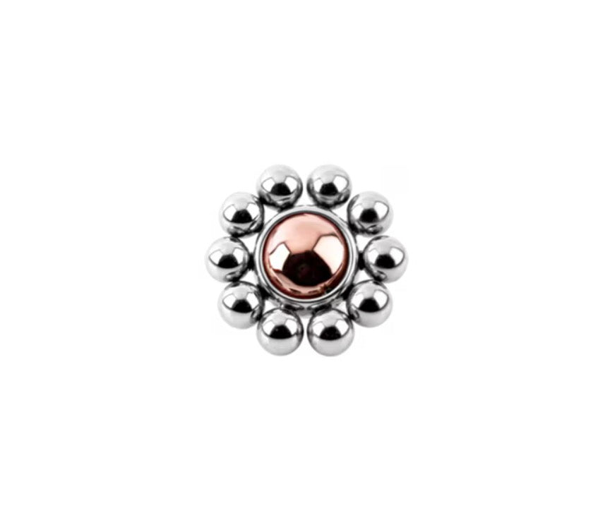 LEROI - FLORA - HYBRID TITANIUM / SOLID GOLD - END