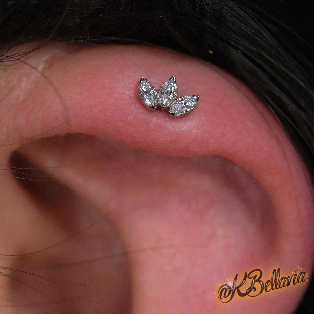 Anatometal - Marquise fan Mini- 18kt Solid Gold - CZ