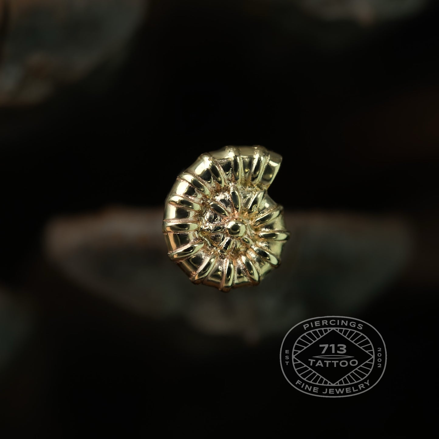ORACLE BODY JEWELRY - AMMONITE - 14KT SOLID GOLD - THREADLESS END