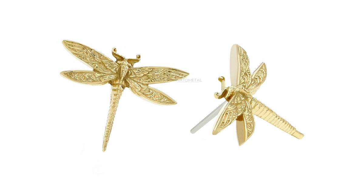 ANATOMETAL - DRAGONFLY - 18KT SOLID GOLD - THREADLESS GOLD