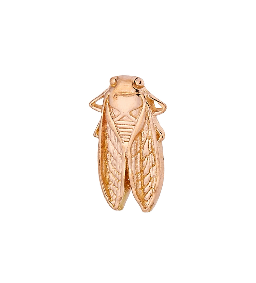 BODY GEMS - CICADA - 14KT SOLID GOLD -THREADLESS END