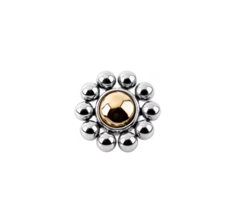 LEROI - FLORA - HYBRID TITANIUM / SOLID GOLD - END