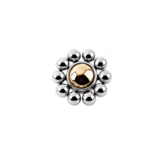 LEROI - FLORA - HYBRID TITANIUM / SOLID GOLD - END