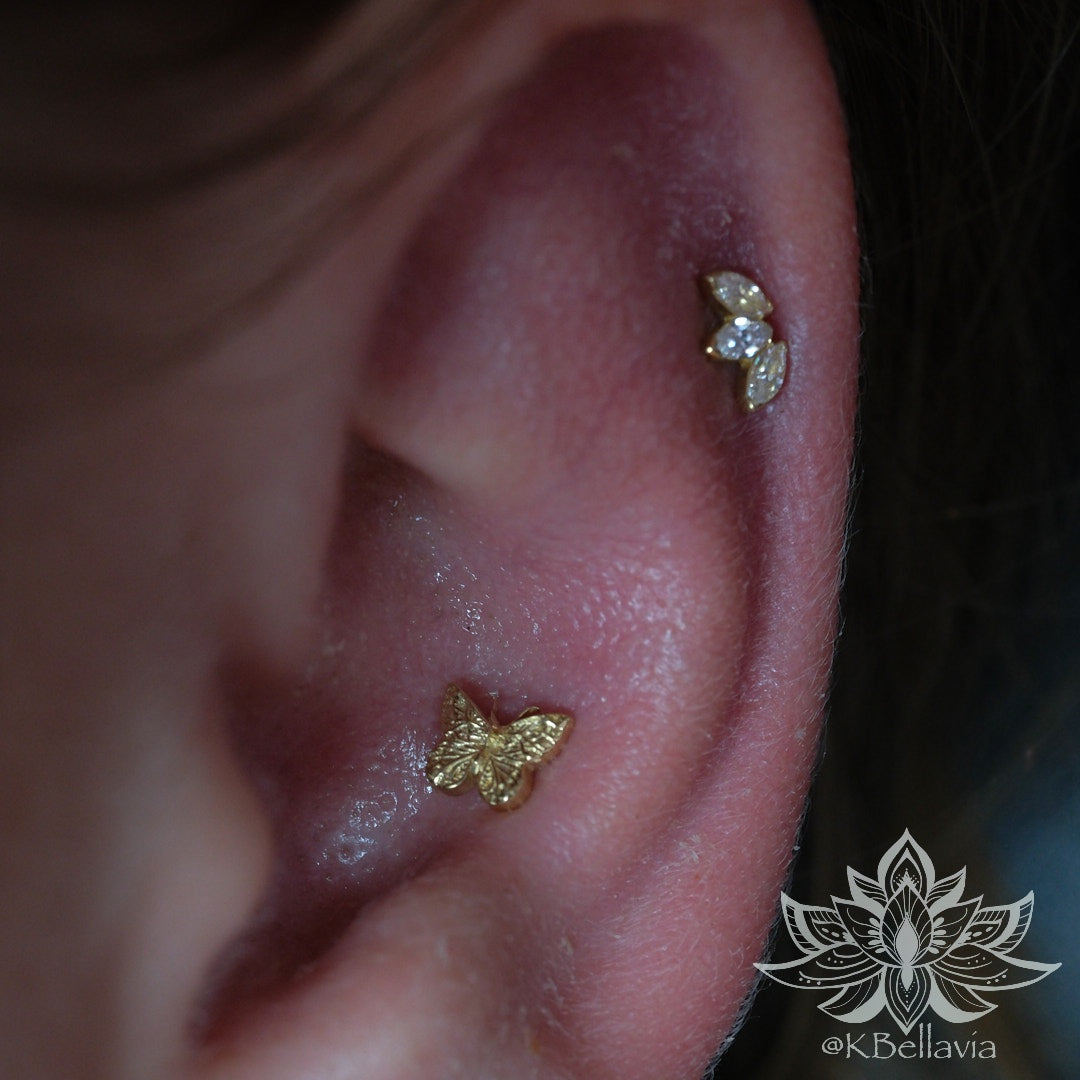 Anatometal - Marquise fan Mini- 18kt Solid Gold - CZ