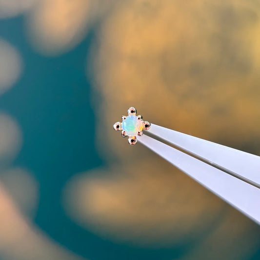 PALOMA JEWELRY - NANCY - 14KT SOLID GOLD - THREADLESS END