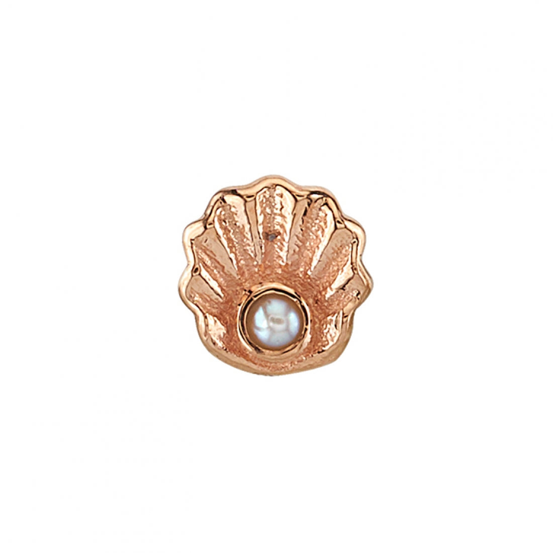 BVLA - SCALLOP - 14KT SOLID GOLD - THREADLESS END