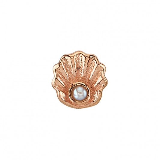 BVLA - SCALLOP - 14KT SOLID GOLD - THREADLESS END
