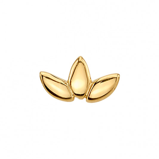 BVLA - FLAT MARQUISE FAN - 14KT SOLID GOLD - THREADLESS END