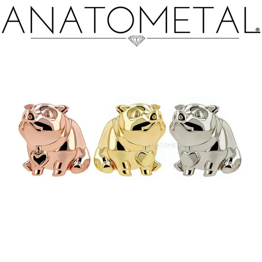 ANATOMETAL - PIG/SKULL - 18KT SOLID GOLD - THREADLESS END